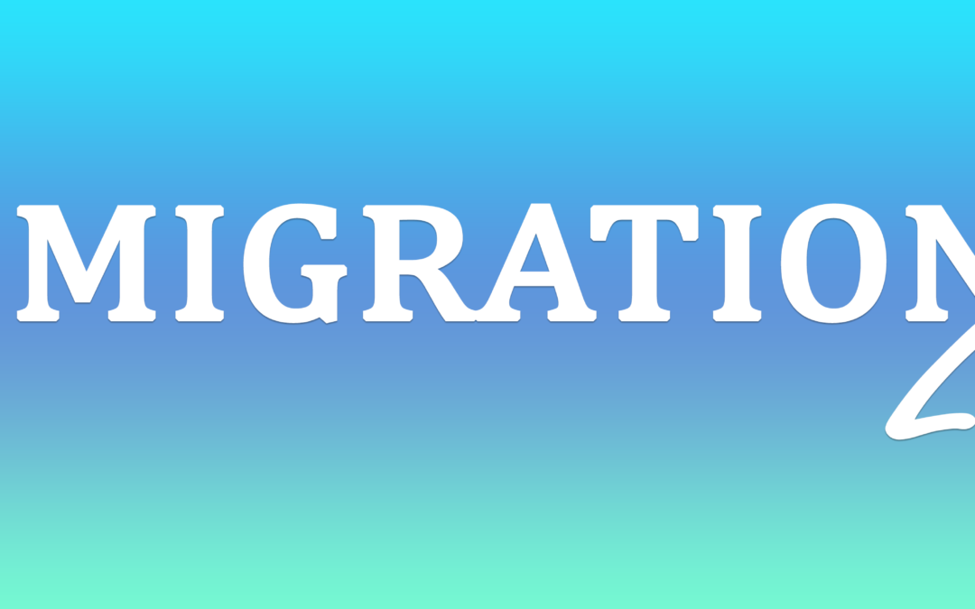 MULTI AREA PROJECT – IMMIGRATION LAW